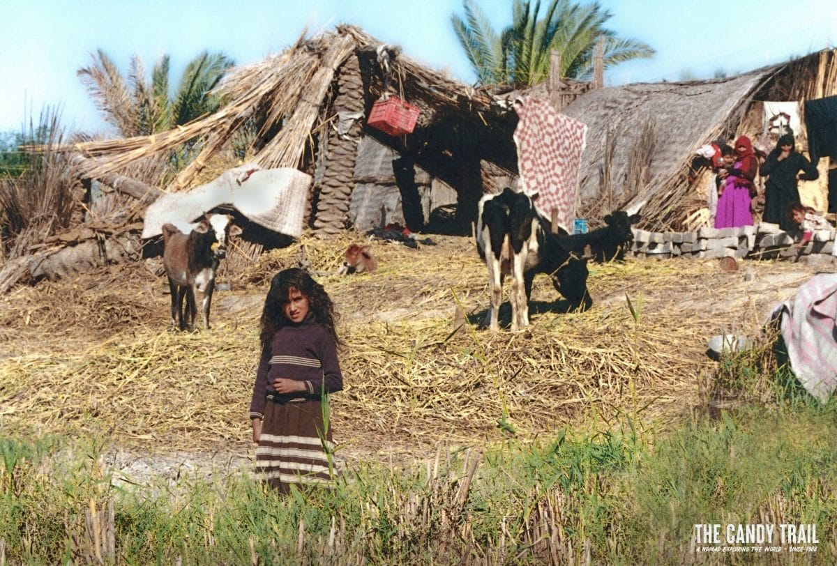 marsh arabs of southern iraq family outside reed house iraq 1989