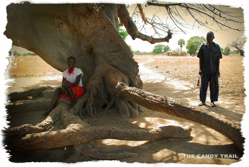 villagers shade under baobao tree northern ghana