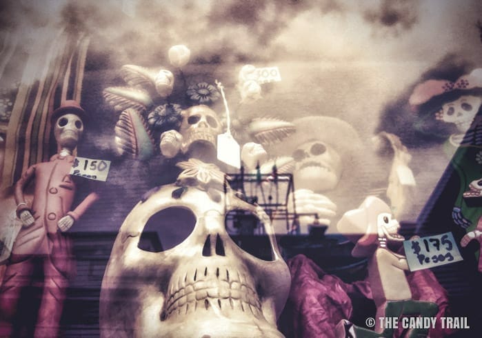 skulls-window-display
