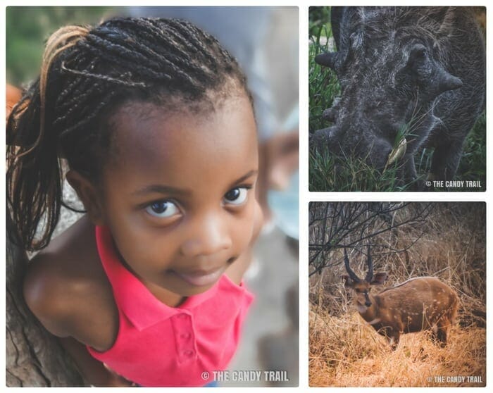 zimbabwe girl and wildlife at victoria falls