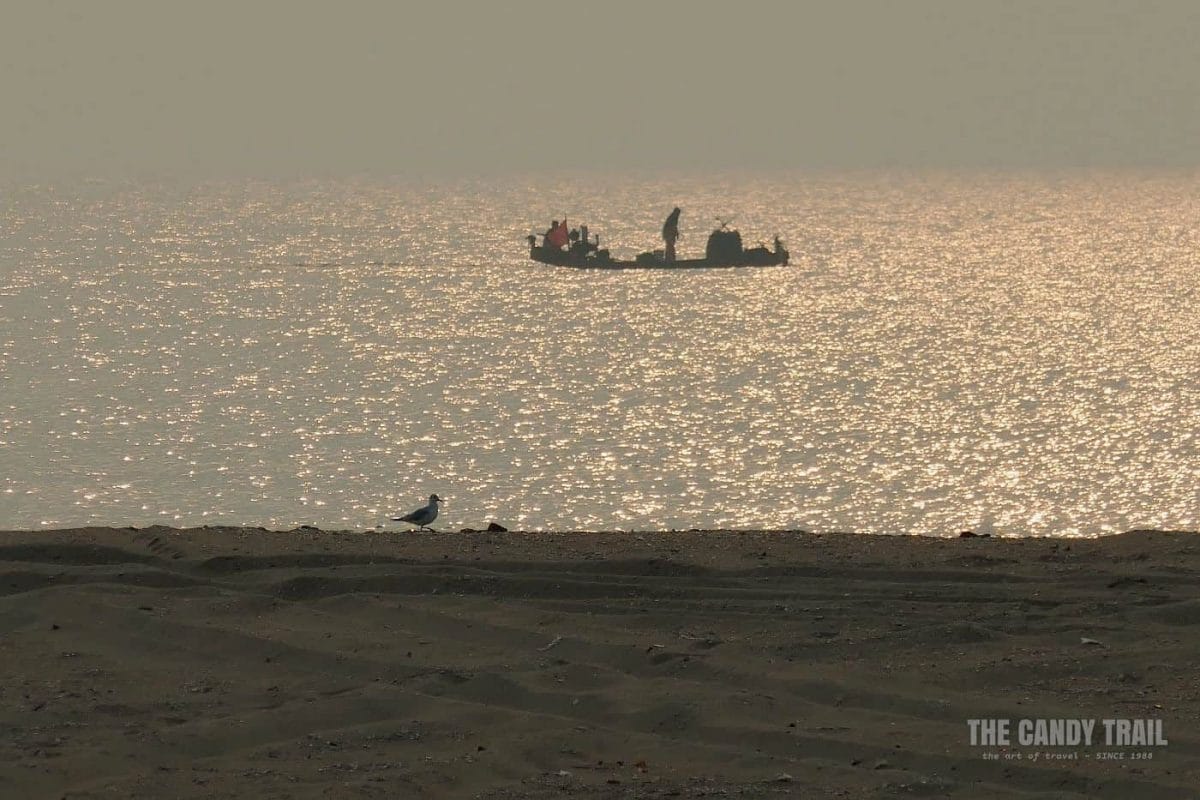 Fishermen + Seagull at Golden Beach living a van life in China.