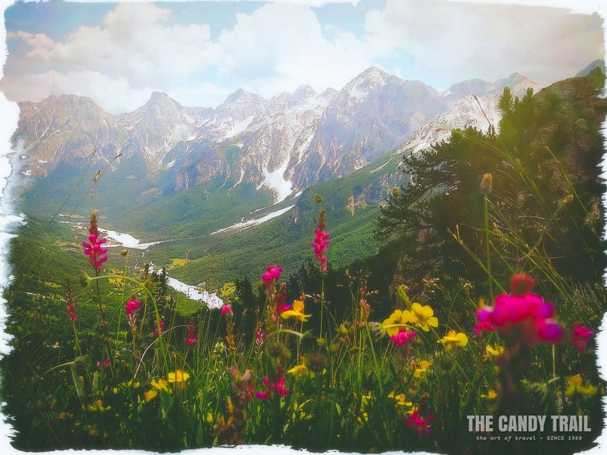 valbona to theth hike mountain-flowers and valley vista in albania