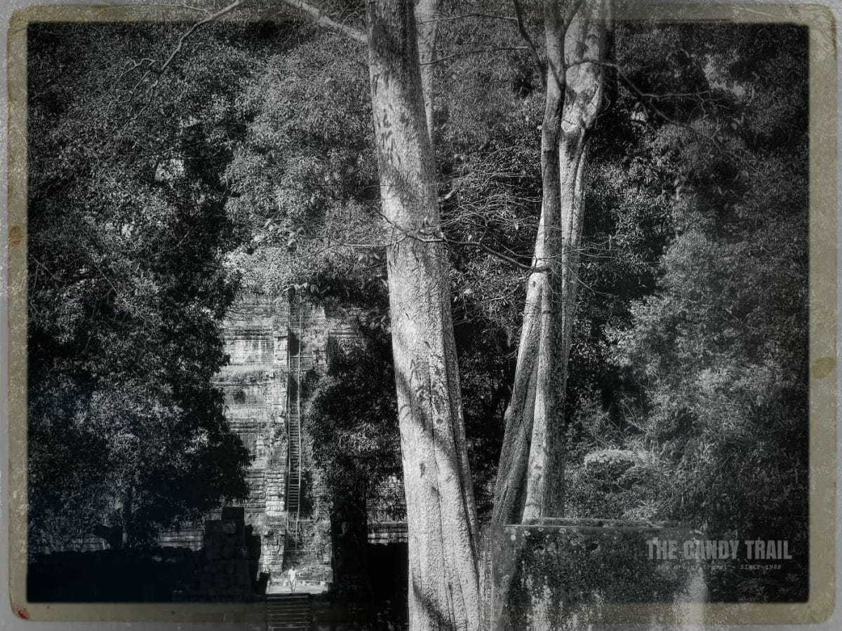 Steep Temple Steps Amid Trees Koh Ker Cambodia