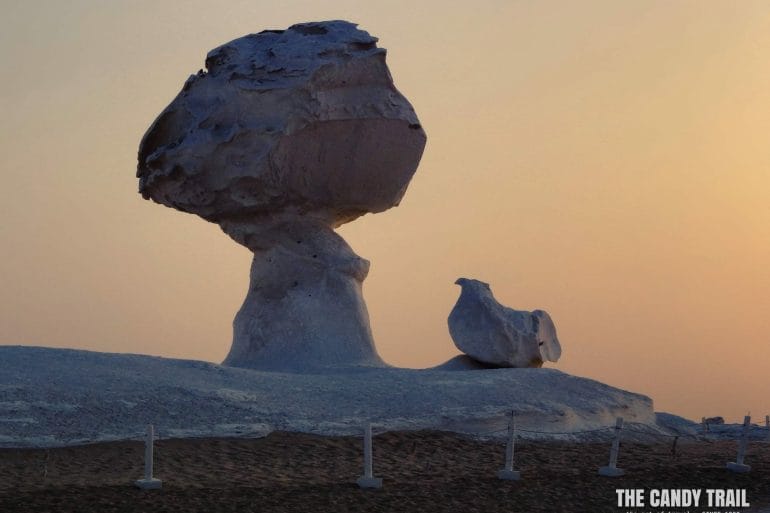 chicken shaped rock white desert egypt