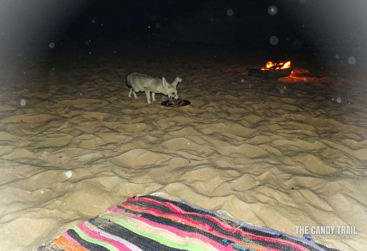 desert fox campsite at white desert tour overnight trip in egypt