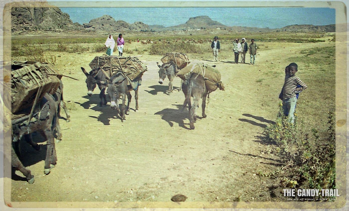 donkeys hauling goods in Matara village in Eritrea