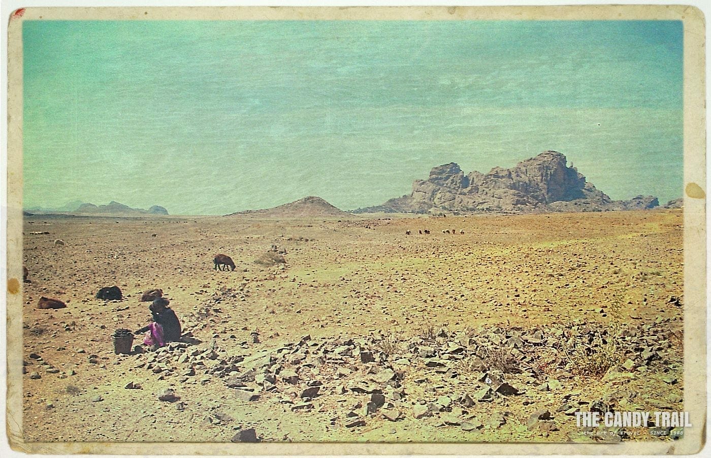 Shepard with flock in the arid surrounds of matara in southern Eritrea