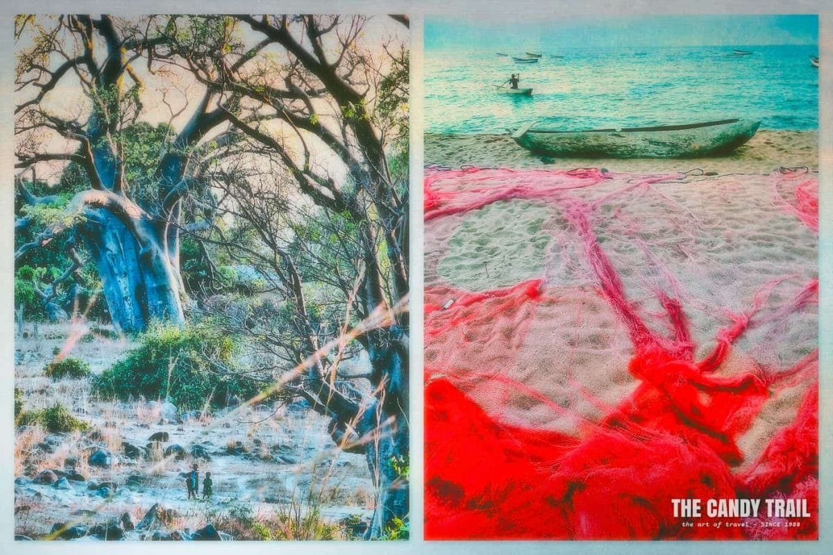 Kids dwarfed by ancient Baobab trees on Likoma Island; Red fishing nets - spread like a squid lake malawi