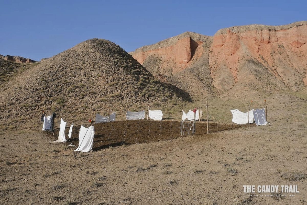 sheep compound yugur nomad lands gansu