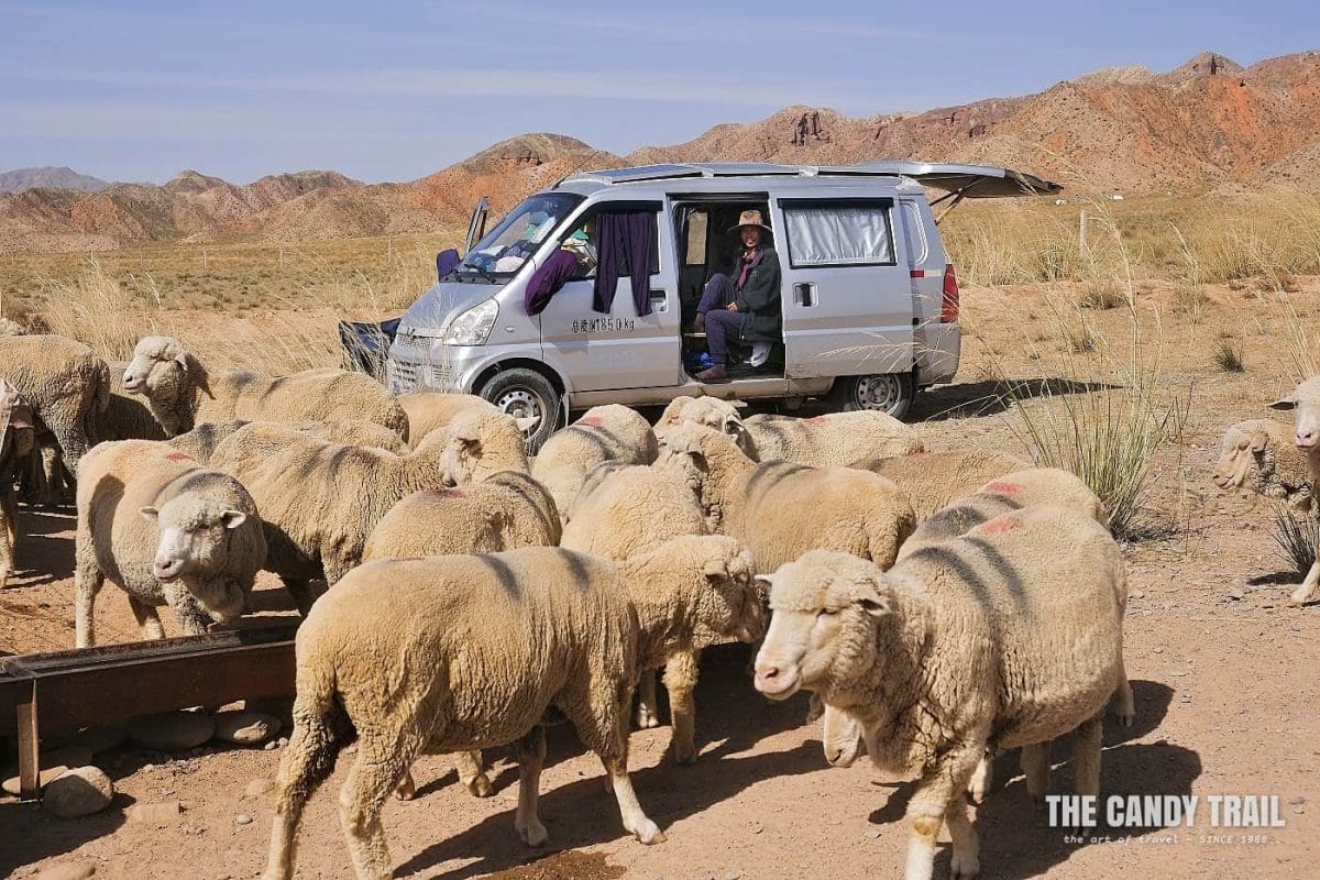 van life in yugur nomadic water hole gansu china