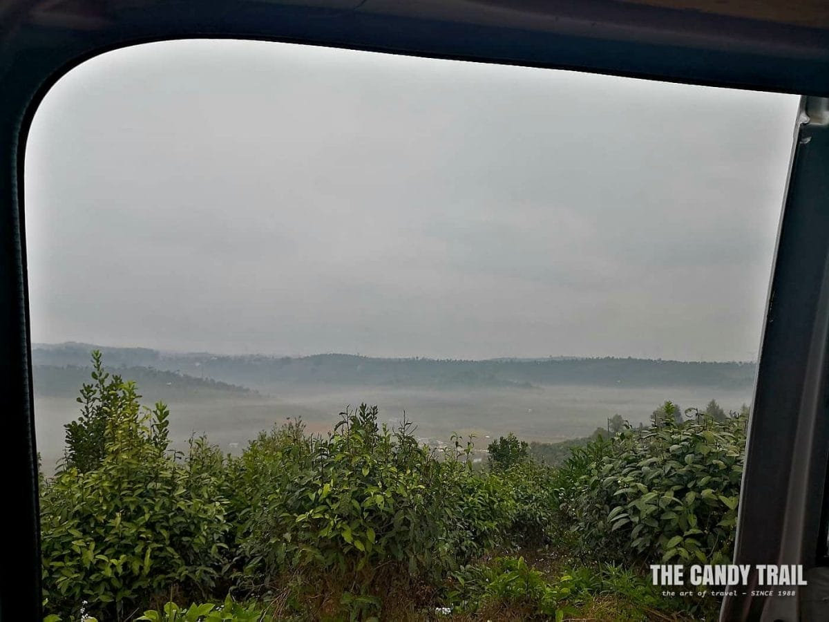 misty hills of tea plantations oin xishuangbanna in china