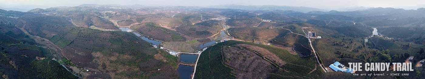 drone panorama of tea plantations of xishuangbanna
