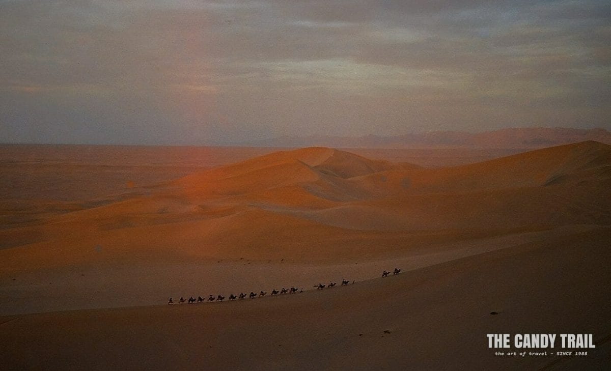 camels sand dune sunset silk road trade route china