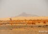 desert mountain adrar mauritania