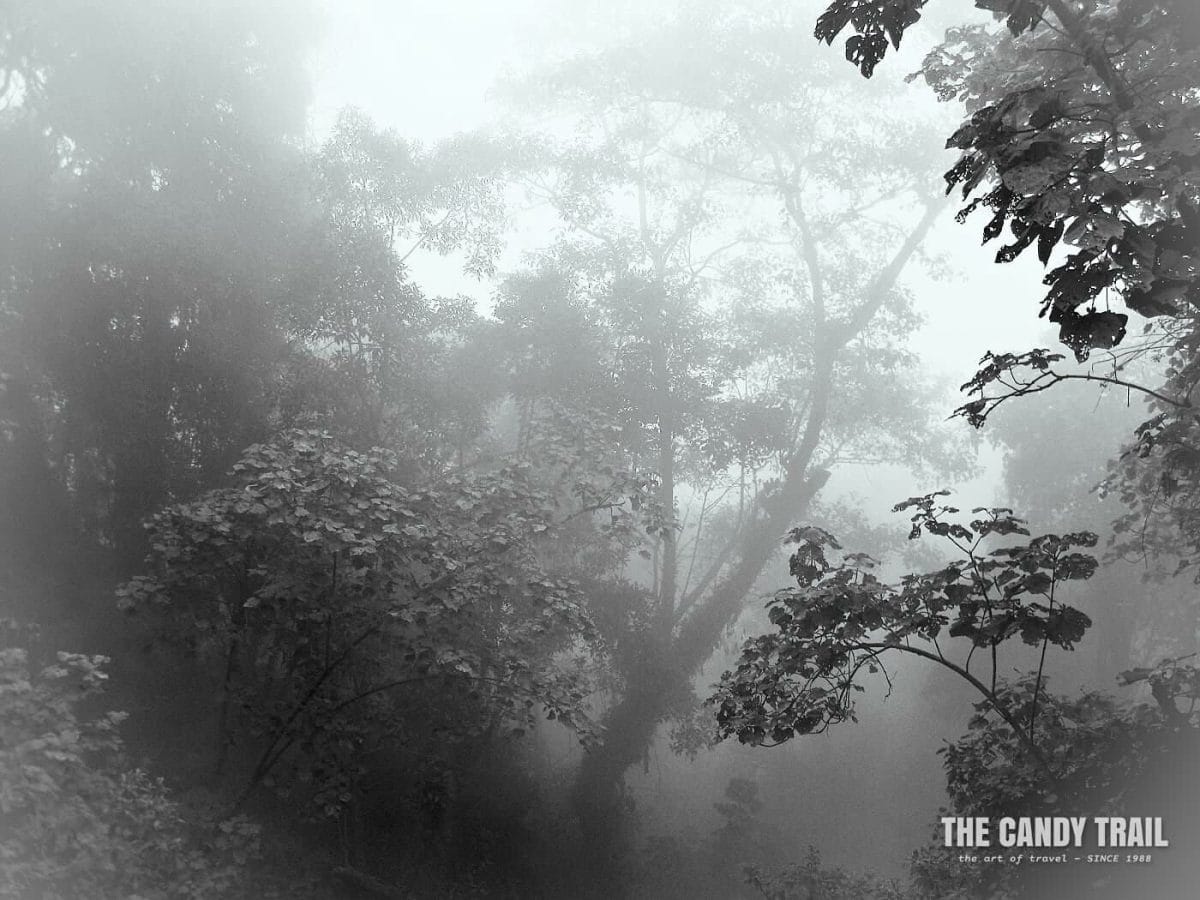 Misty rainforest hiking to Laguna Chicabal.