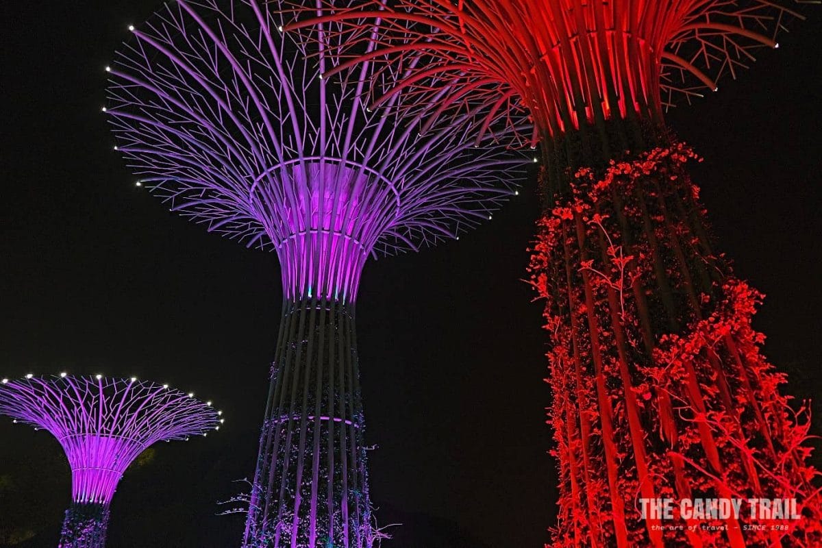 brightly lit tree sculptures in morganshan park china