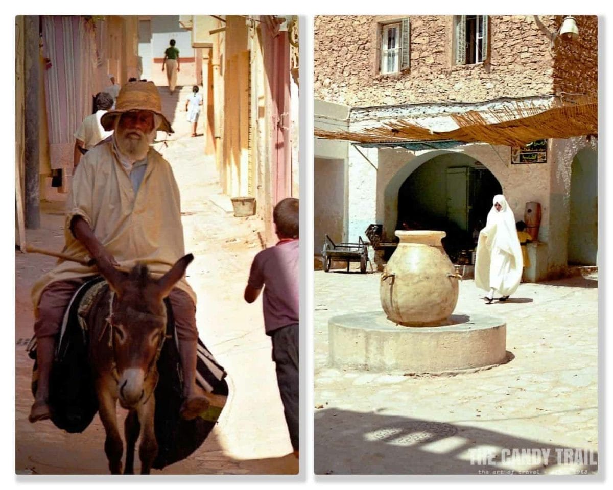 donkey in backstreets of ghardaia m'zab valley algeria