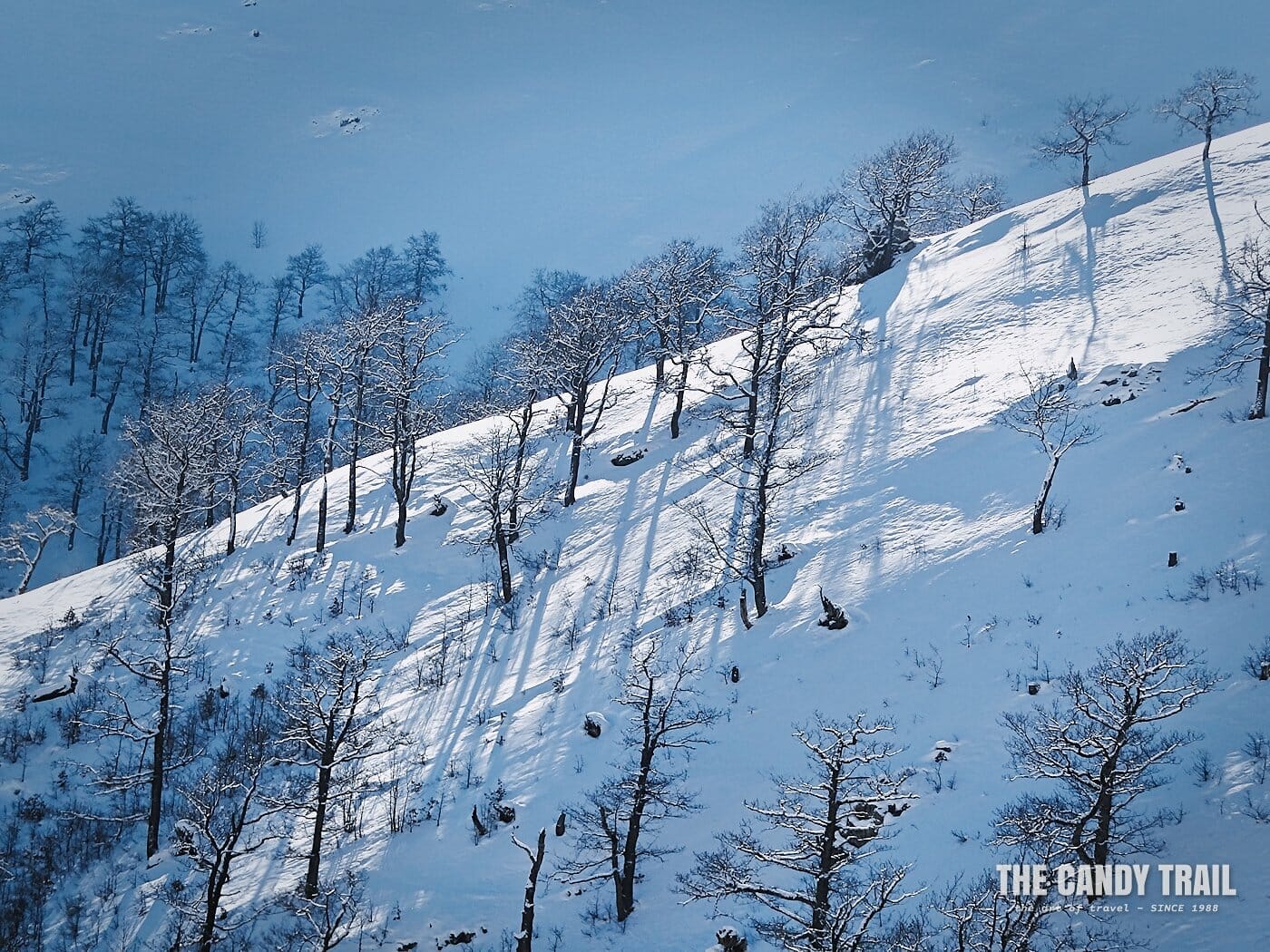 snowy mountain slopes and tree silhouettes in Armenia