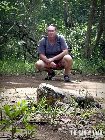 traveler beside komodo dragon indonesia