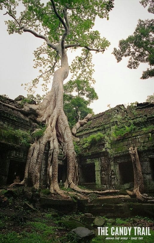 ta phrom temple angkor cambodia 1994