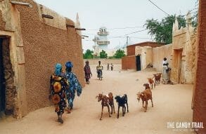 goats-in-street-zinder-old-town-niger