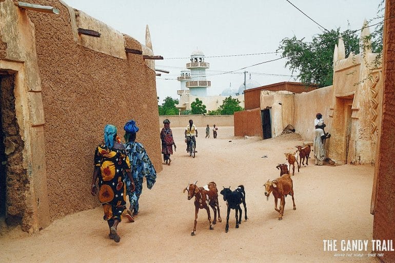goats-in-street-zinder-old-town-niger