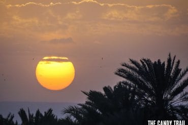 sunset-over-palms-el-qasr-oasis-egypt